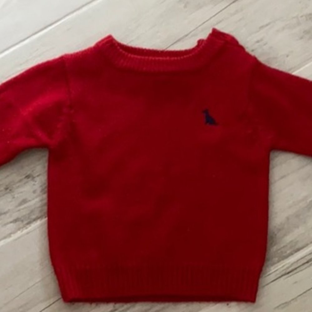Healthtex red sweater 18M
